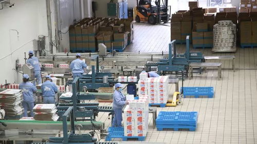 打造一片凈土，開足馬力保牛奶制品安全供應(yīng)與勞動保護(hù)用品銷售