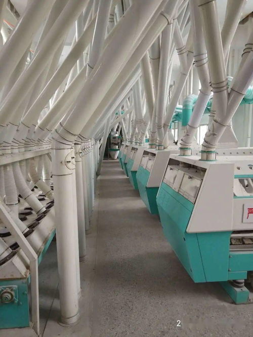 梁山縣新豐面粉廠 誠邀全國經銷商，共拓勞動保護用品銷售新藍海